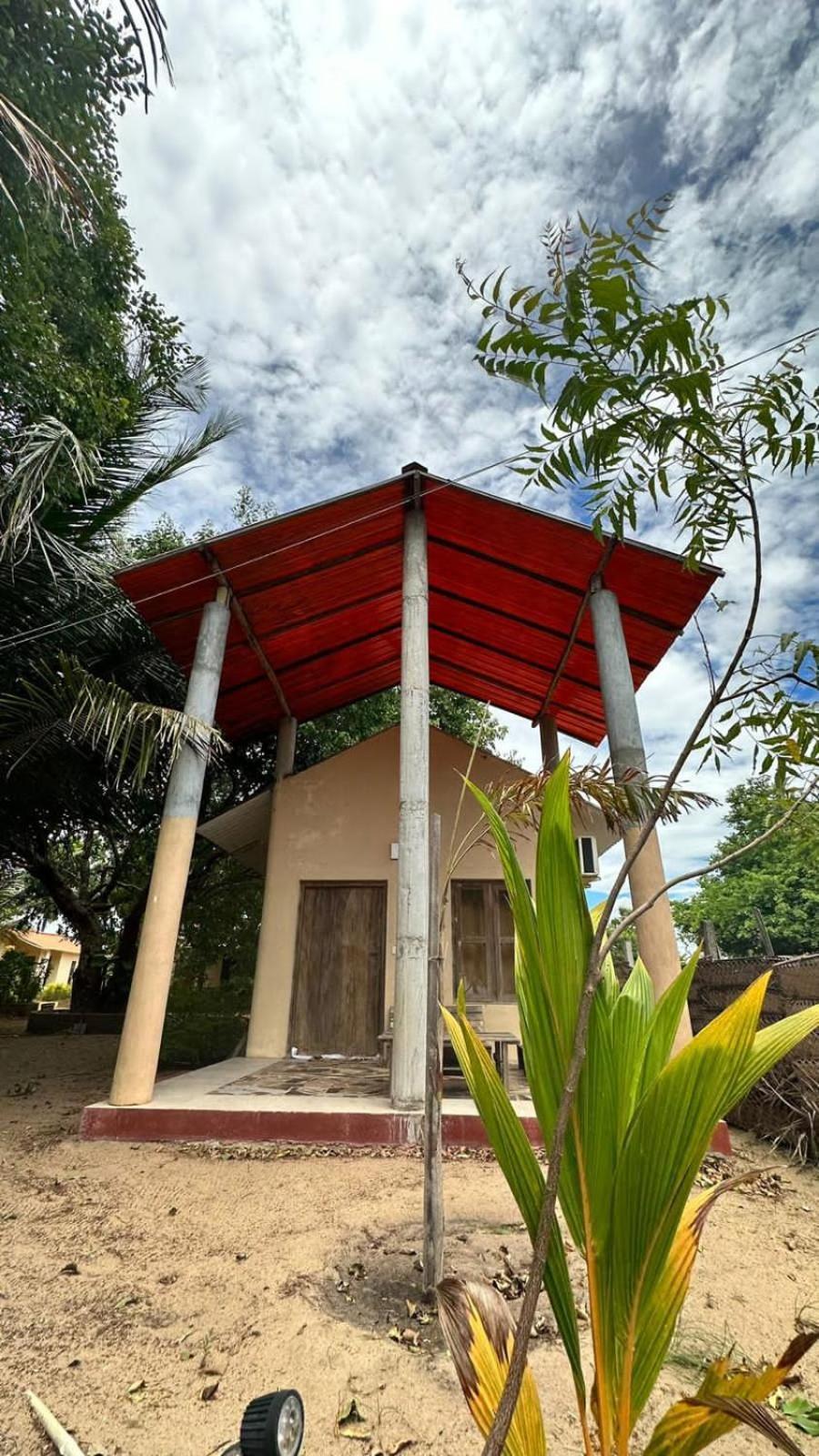 Homestay Coconut
