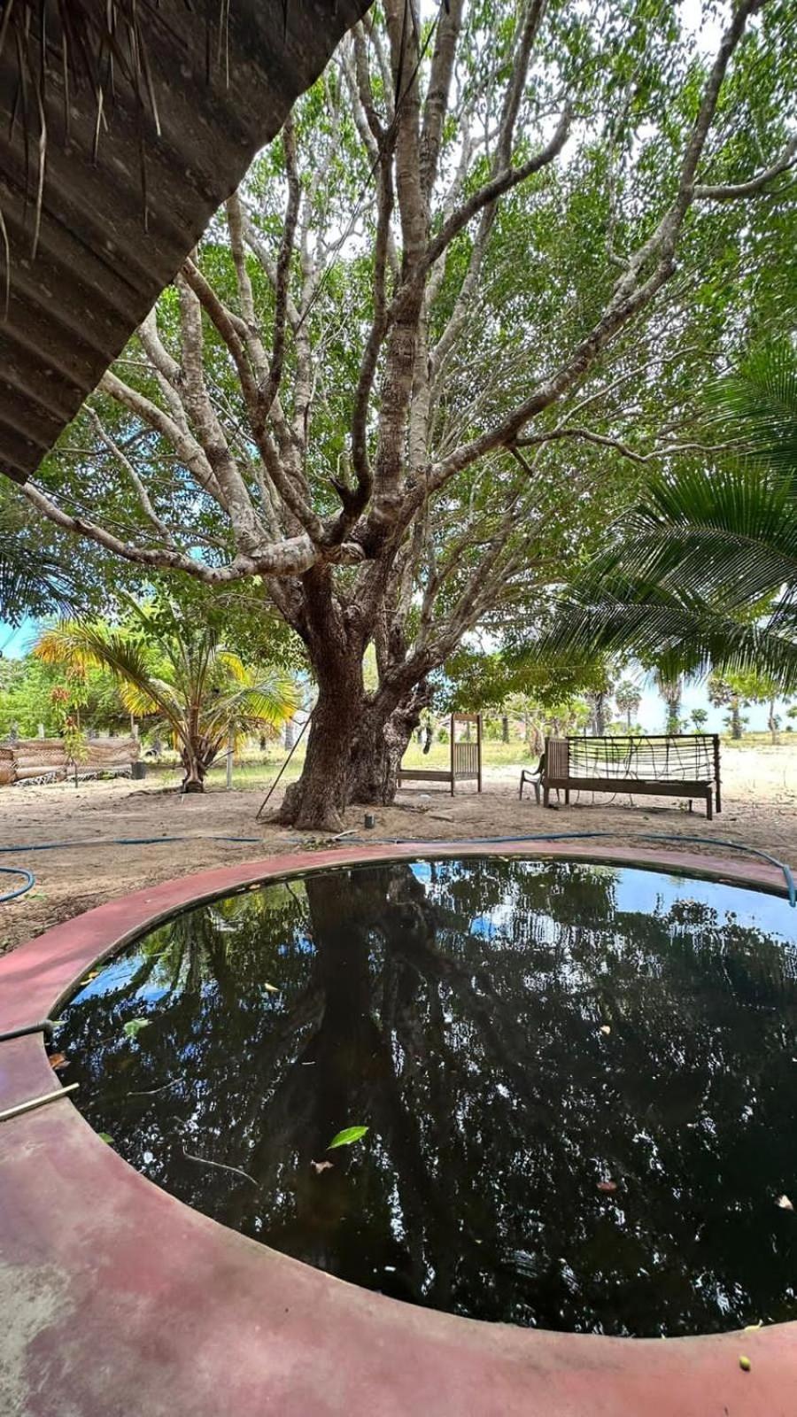 Coconut Homestay Pottuvil